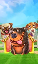 The Dog House